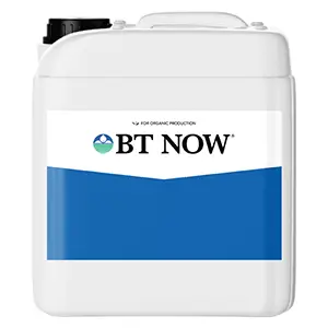 BT NOW&reg;