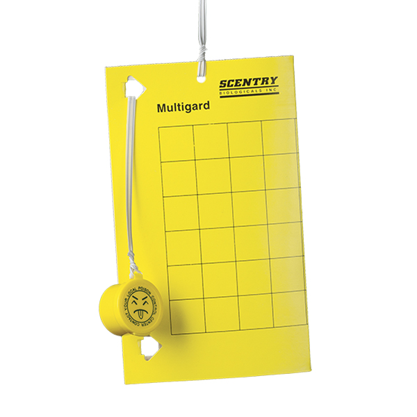 Scentry Multigard AM Trap (Yellow) - Case of 100