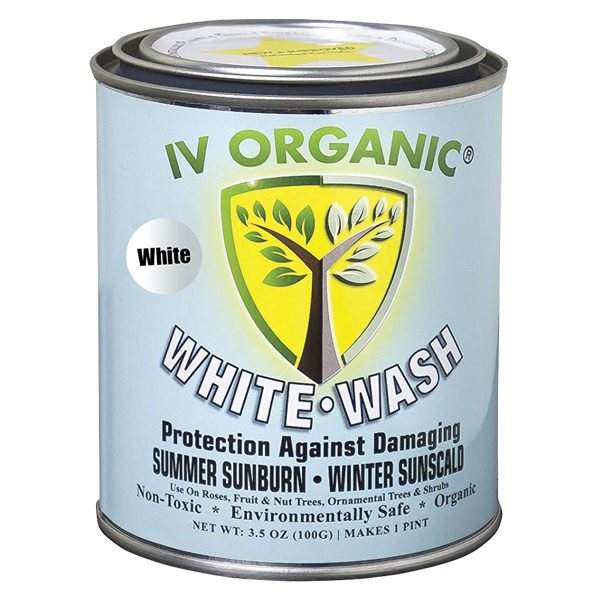 IV Organic® White Wash