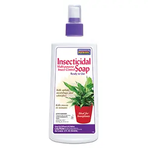 BONIDE Insecticidal Soap - 12 oz. RTU
