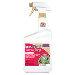 BONIDE&reg; Insecticidal Soap