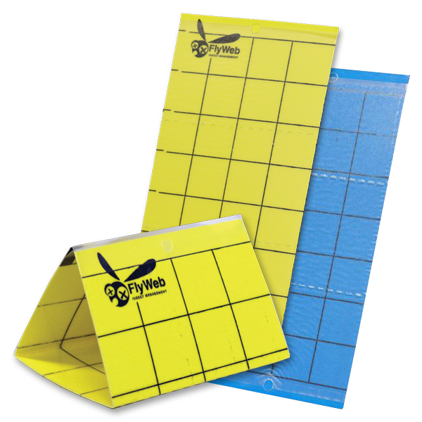 FlyWeb® Insect Monitor Cards