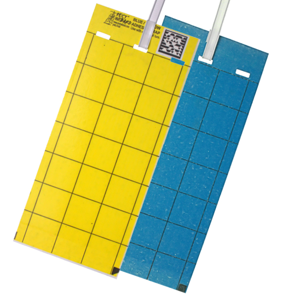 Blue & Yellow Card Trap