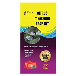 Citrus Mealybug Trap Kit & Lures