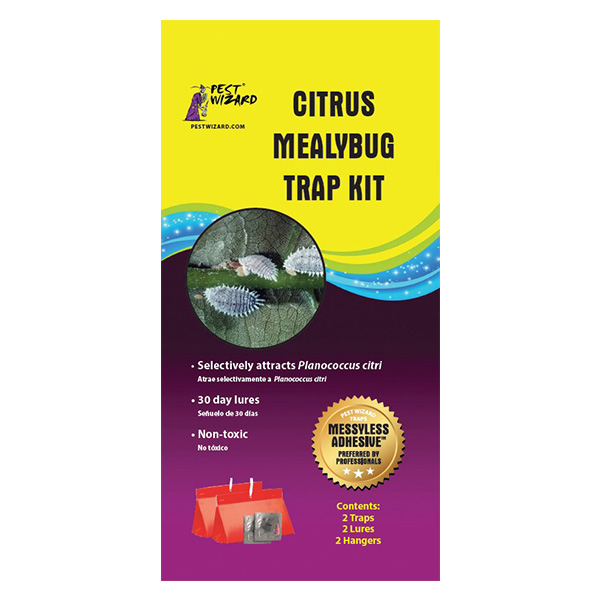 Citrus Mealybug Trap Kit & Lures