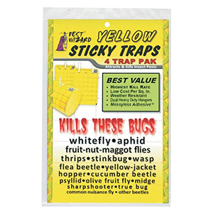 Large Yellow Sticky Traps, 4 Pk - 5.5