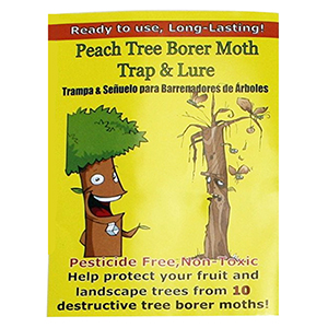 Peach Tree Borer Moth Trap & Lure - 2 Traps/Lures