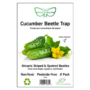 Cucumber Beetle Trap & Lure
