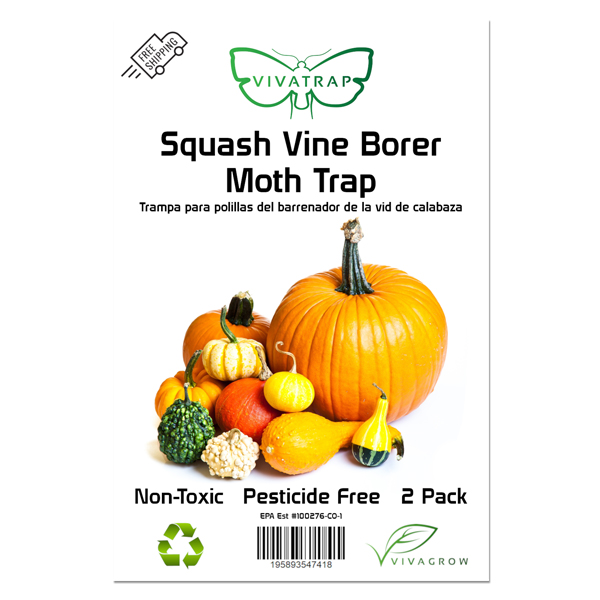 Squash Vine Borer Moth Trap & Lure