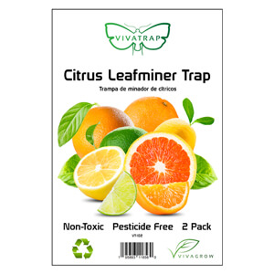 Citrus Leaf Miner Trap & Lure