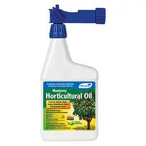 Monterey Horticultural Oil - RTS