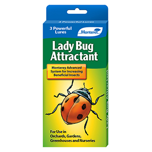 Monterey Lady Bug Attractant