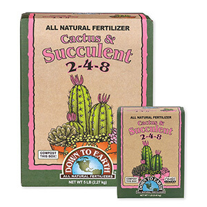 DTE™ Cactus & Succulent 2-4-8