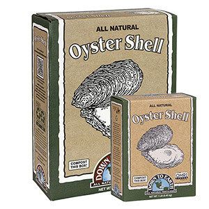 DTE™ Oyster Shell