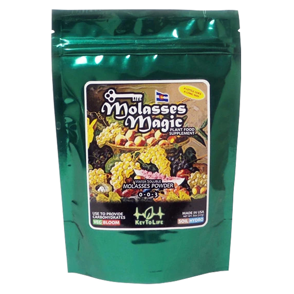 Molasses Magic, 0-0-3