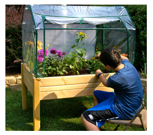 Eden Mini Greenhouses - Medium