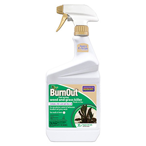 BONIDE® BurnOut Weed & Grass Killer - RTU