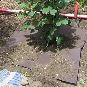 WeedGuard Plus&reg; Organic - Heavy Weight