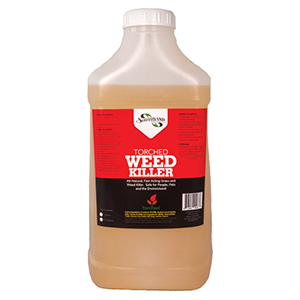 Torched Weed Killer