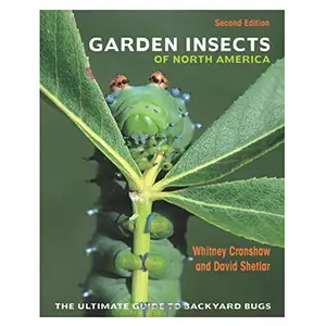 Garden Insects of North America