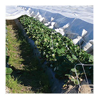 Agribon AG-15 Frost Protection - AG-15 - 9'10