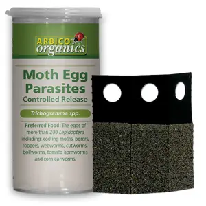 Moth Egg Parasites