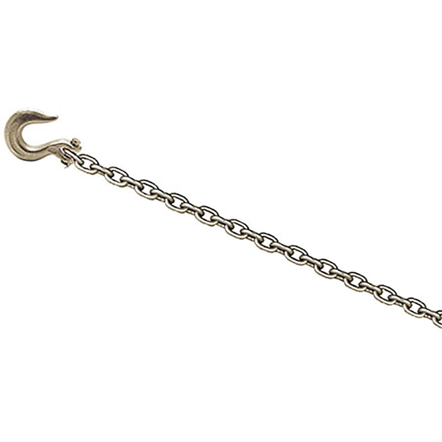Champ 8-Foot Chain with Clevis Slip Hook - 1021