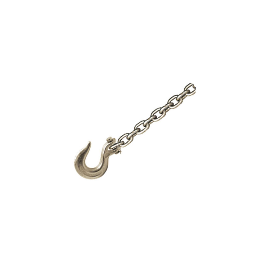 Champ 10-Foot Chain with Clevis Slip Hook - 1022