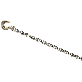 Champ 8-Foot Chain with Clevis Slip Hook - 1021