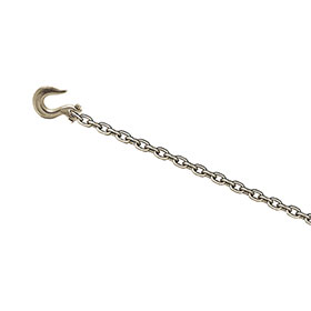 Champ 12-Foot Chain with Clevis Slip Hook - 1023