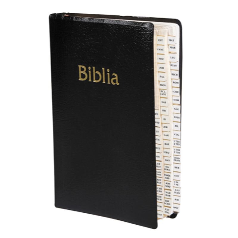 Catholic Bible Tabs (Spanish) - 18/pk