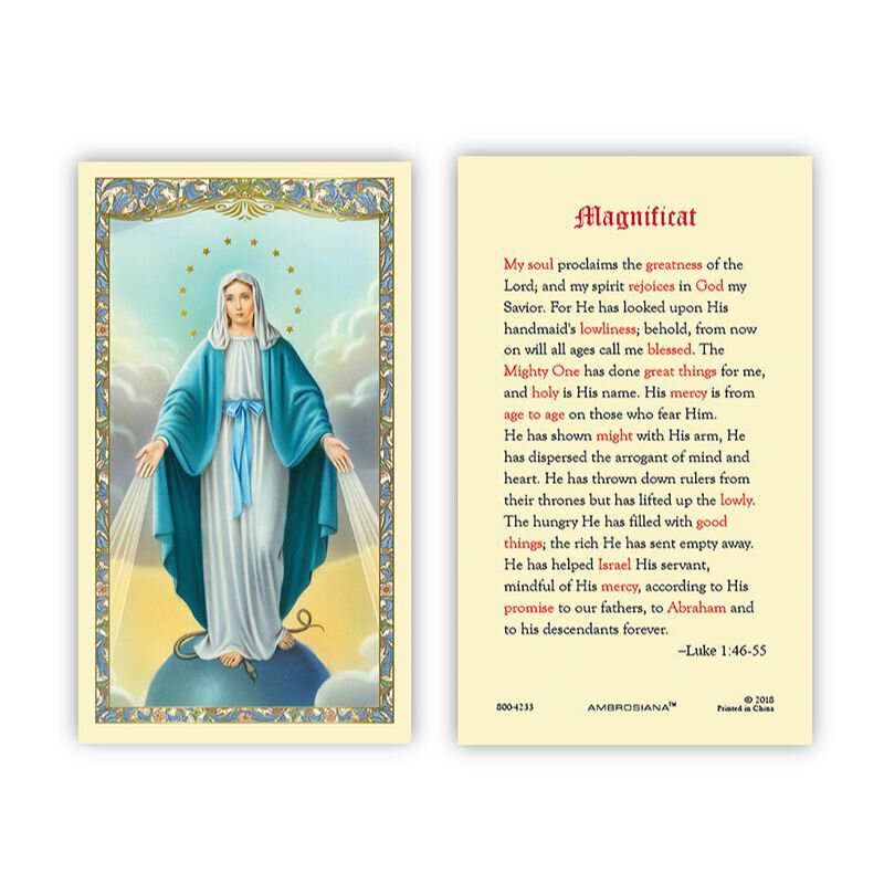 Our Lady Of Grace Laminated Holy Card 25pk Devotional Items Autom
