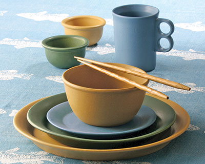 Stoneware dinnerware