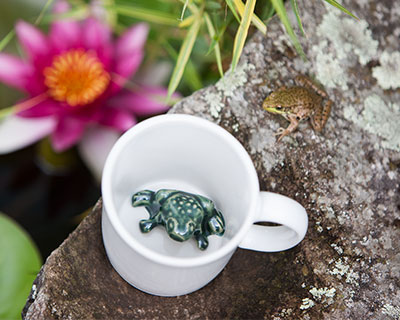 A Frog Surprise 