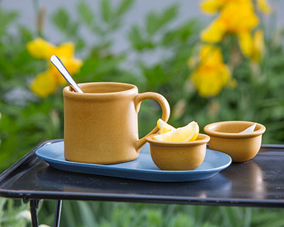 American Classic Mug
