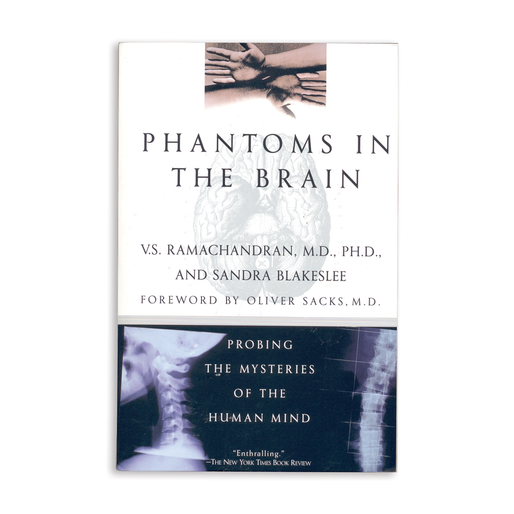 Phantom's in the Brain 
