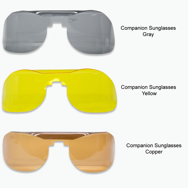Companions™ Slip-In Sunglasses
