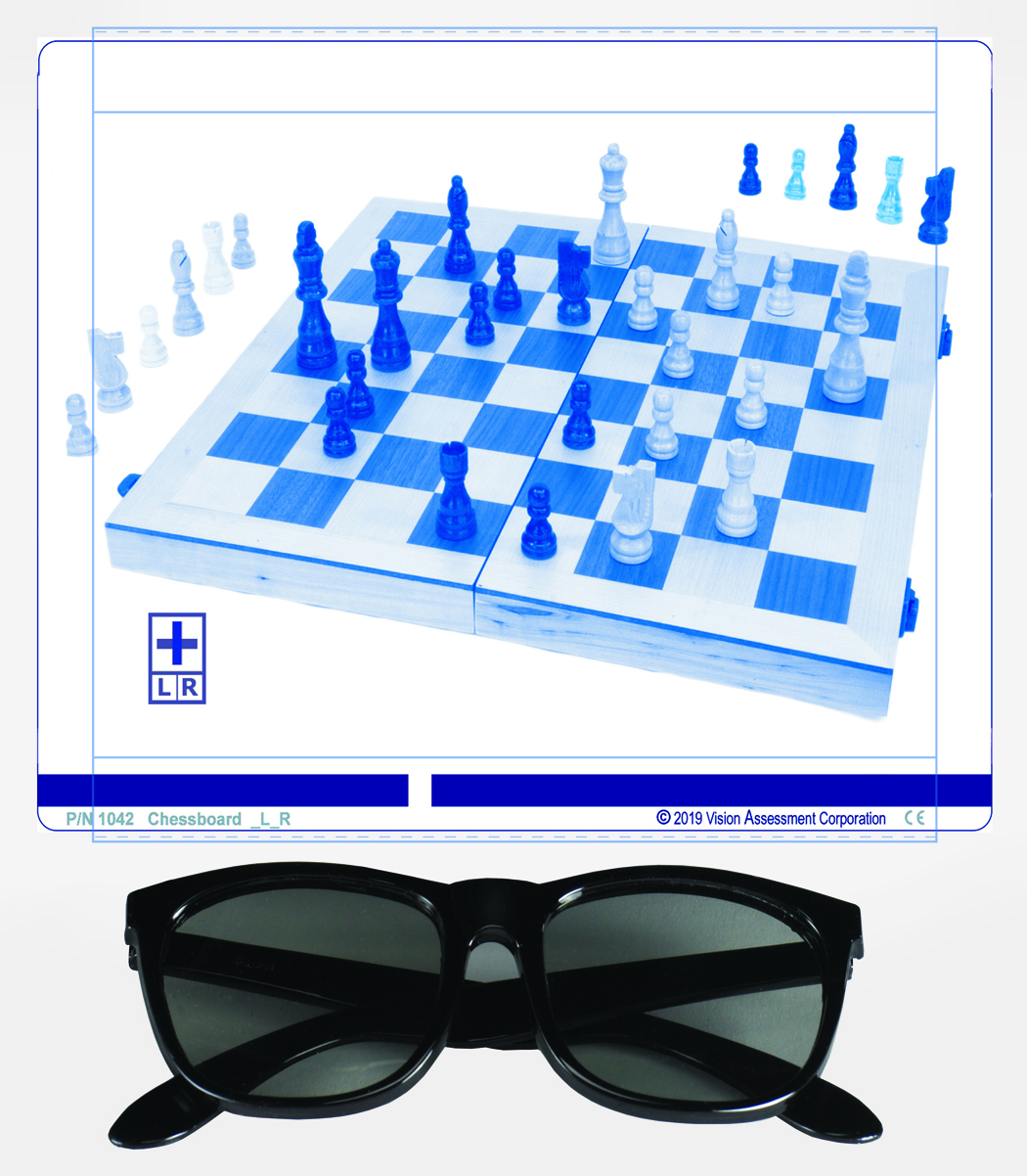 Chessboard Polarized Variable Vectograph