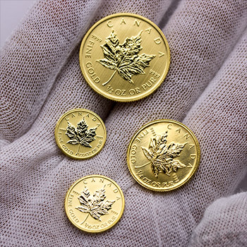 Canadian Gold Maple Leaf 1/2 oz - Dates Our Choice Brilliant Uncirculated Gem .9999 Fine 24kt Gold - Image