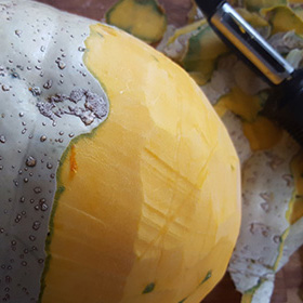 Endless Harvests: Inspiration for All Those Veggies