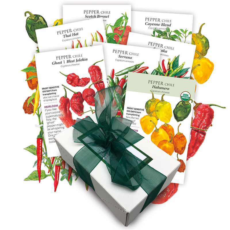 Chile Pepper Collection
