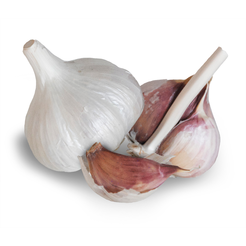 German White Stiffneck Hardneck Garlic