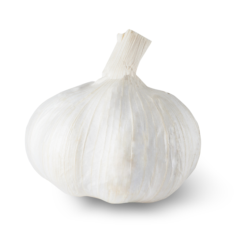 Silver White Softneck Garlic