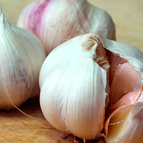 Garlic: Planting and Growing Guide