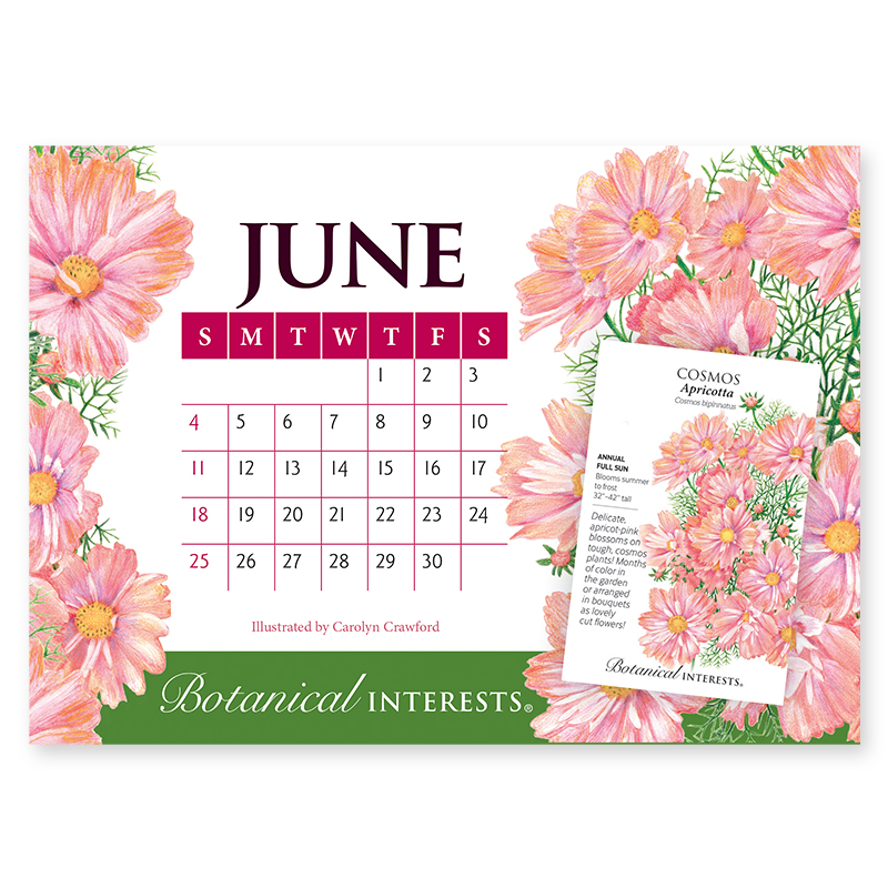 2023 Botanical Interests Desk Calendar view 2