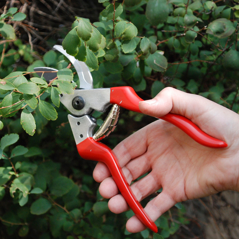 Bypass Pruner, View All: Botanical Interests