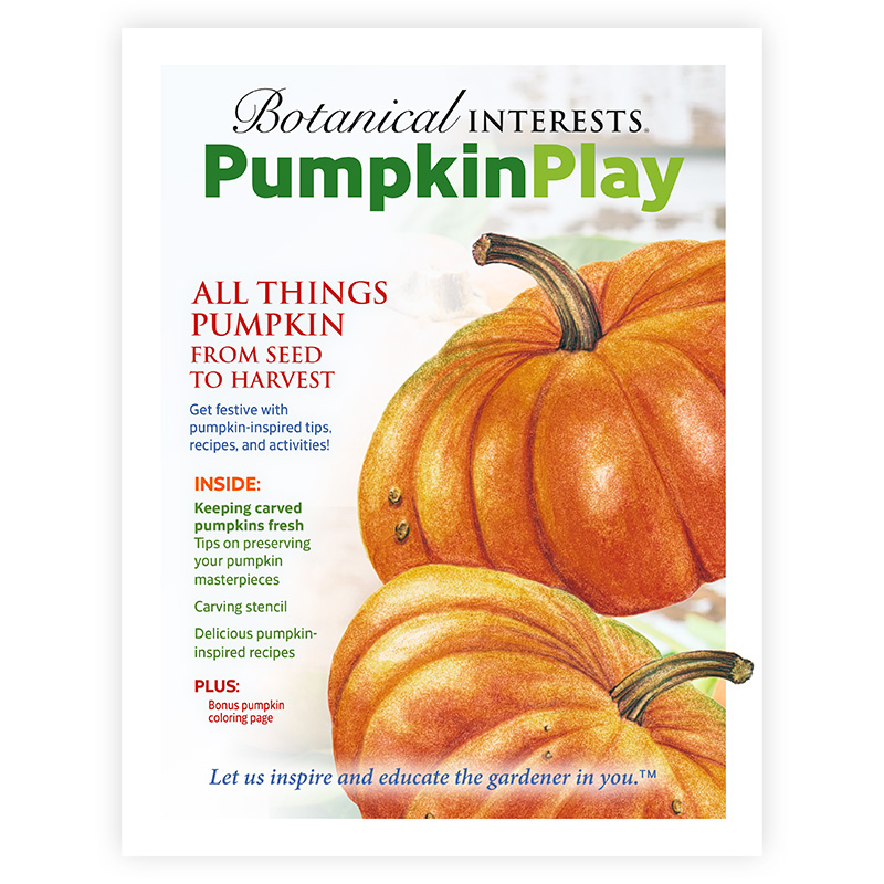 Pumpkin Activity Book