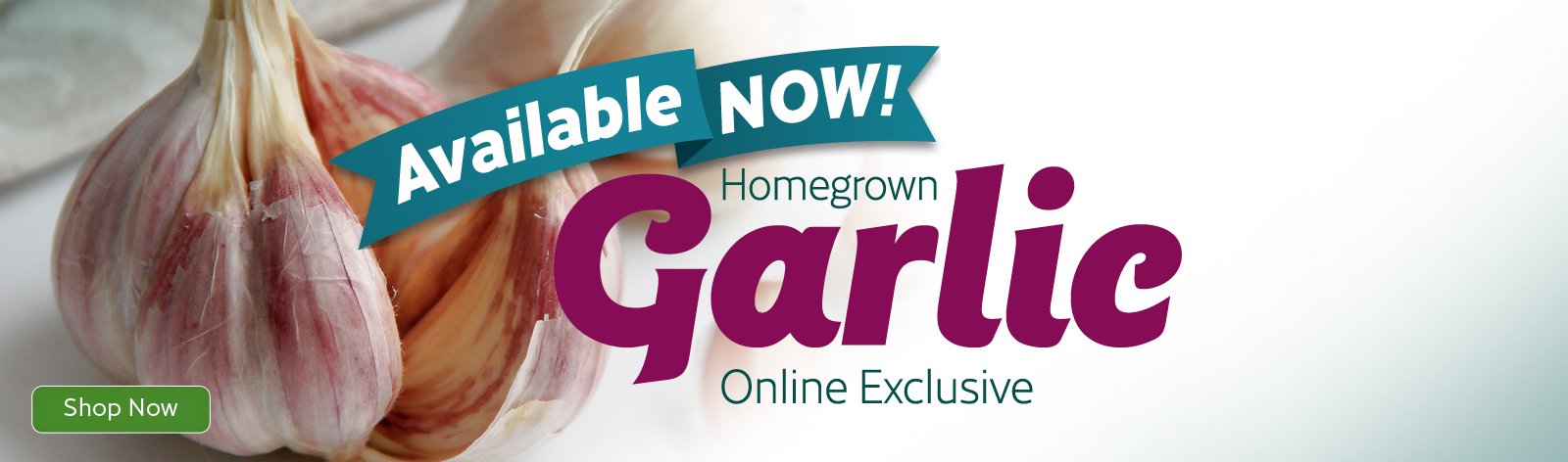garlic available now