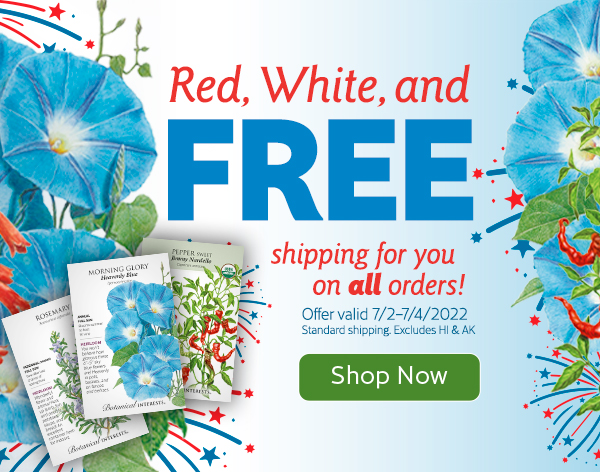 Mobile - The Fourth of July free shipping promotion