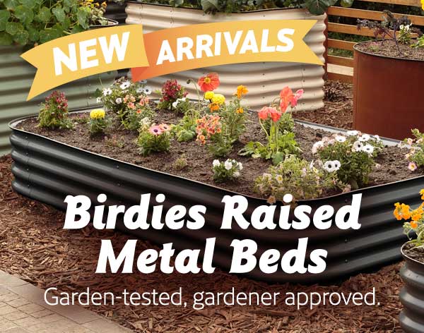 Mobile - raised birdies beds